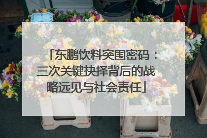东鹏饮料突围密码：三次关键抉择背后的战略远见与社会责任
