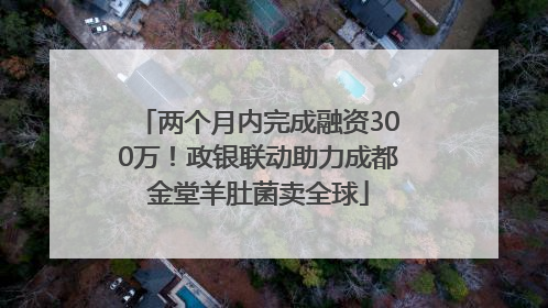 两个月内完成融资300万！政银联动助力成都金堂羊肚菌卖全球