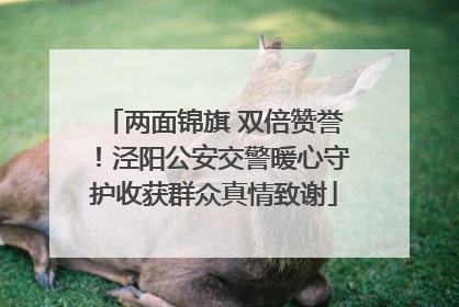 两面锦旗 双倍赞誉！泾阳公安交警暖心守护收获群众真情致谢