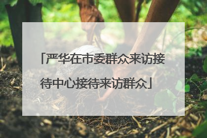 严华在市委群众来访接待中心接待来访群众