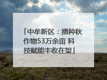 中牟新区：播种秋作物53万余亩 科技赋能丰收在望