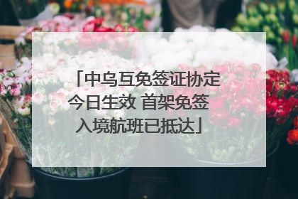 中乌互免签证协定今日生效 首架免签入境航班已抵达
