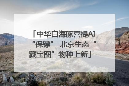 中华白海豚喜提AI“保镖” 北京生态“藏宝图”物种上新
