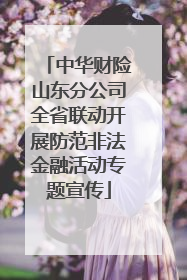 中华财险山东分公司全省联动开展防范非法金融活动专题宣传