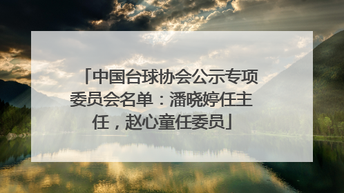 中国台球协会公示专项委员会名单：潘晓婷任主任，赵心童任委员