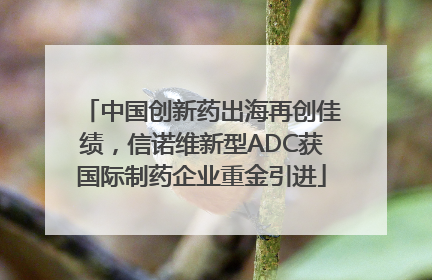 中国创新药出海再创佳绩，信诺维新型ADC获国际制药企业重金引进