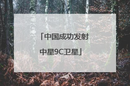 中国成功发射中星9C卫星