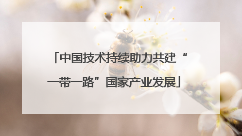 中国技术持续助力共建“一带一路”国家产业发展