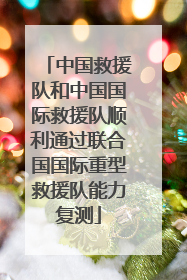 中国救援队和中国国际救援队顺利通过联合国国际重型救援队能力复测