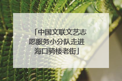 中国文联文艺志愿服务小分队走进海口骑楼老街