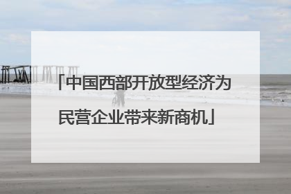 中国西部开放型经济为民营企业带来新商机