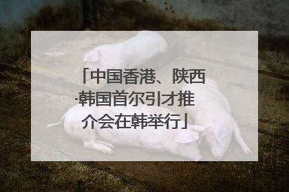 中国香港、陕西·韩国首尔引才推介会在韩举行