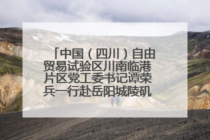 中国（四川）自由贸易试验区川南临港片区党工委书记谭荣兵一行赴岳阳城陵矶综保区考察