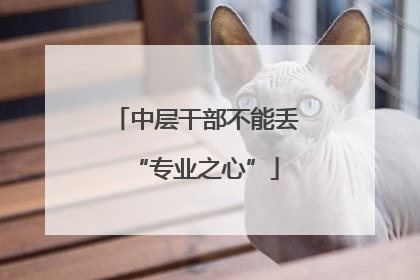 中层干部不能丢“专业之心”