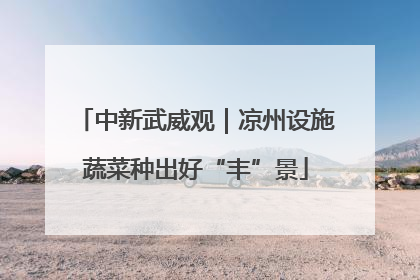 中新武威观｜凉州设施蔬菜种出好“丰”景