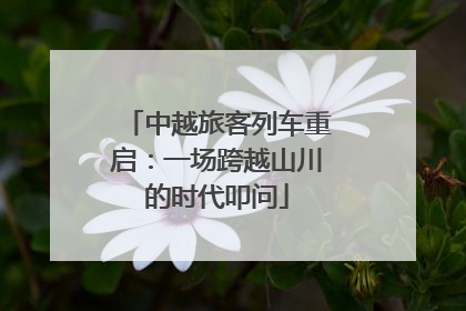 中越旅客列车重启：一场跨越山川的时代叩问