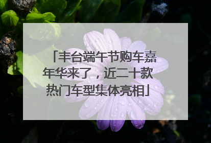 丰台端午节购车嘉年华来了，近二十款热门车型集体亮相