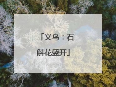 义乌：石斛花盛开