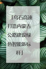乌石高速打造内蒙古公路建设绿色智能新标杆