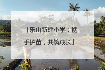 乐山新建小学：携手护苗，共筑成长