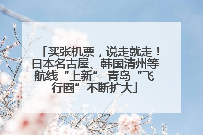买张机票，说走就走！日本名古屋、韩国清州等航线“上新” 青岛“飞行圈”不断扩大