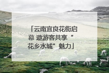 云南宜良花街启幕 邀游客共享“花乡水城”魅力