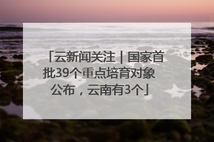 云新闻关注｜国家首批39个重点培育对象公布，云南有3个