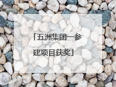 五洲集团一参建项目获奖