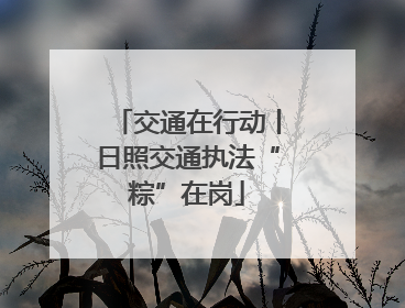 交通在行动丨日照交通执法“粽”在岗