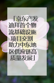 京东产发迪拜首个物流基础设施项目交割 助力中东地区供应链高质量发展