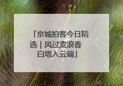 京城拍客今日精选｜风过麦浪香 白塔入云端
