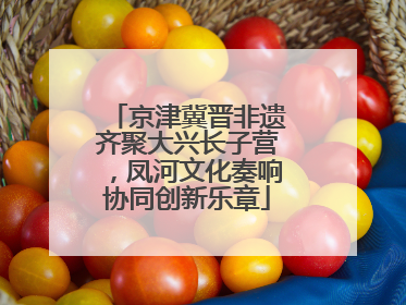 京津冀晋非遗齐聚大兴长子营，凤河文化奏响协同创新乐章