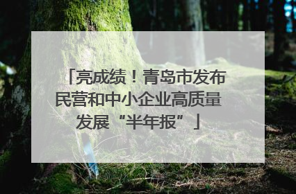 亮成绩！青岛市发布民营和中小企业高质量发展“半年报”