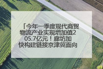 今年一季度现代商贸物流产业实现增加值205.7亿元！廊坊加快构建链接京津冀面向全世界的物流通道