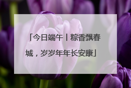 今日端午丨粽香飘春城，岁岁年年长安康