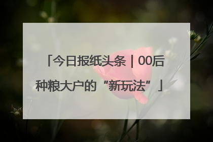 今日报纸头条|00后种粮大户的“新玩法”