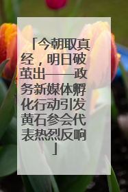 今朝取真经，明日破茧出——政务新媒体孵化行动引发黄石参会代表热烈反响