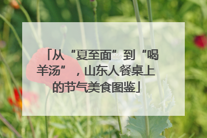 从“夏至面”到“喝羊汤”，山东人餐桌上的节气美食图鉴