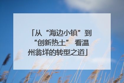从“海边小镇”到“创新热土” 看温州翁垟的转型之道