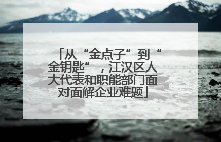 从“金点子”到“金钥匙”，江汉区人大代表和职能部门面对面解企业难题