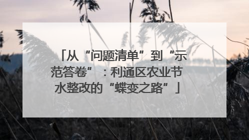 从“问题清单”到“示范答卷”：利通区农业节水整改的“蝶变之路”