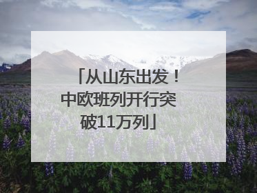 从山东出发！中欧班列开行突破11万列