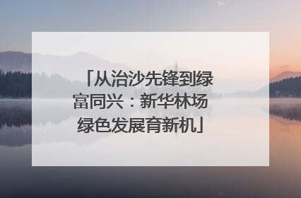 从治沙先锋到绿富同兴：新华林场绿色发展育新机