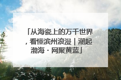 从海瓷上的万千世界，看懂滨州浪漫｜潮起渤海・网聚黄蓝