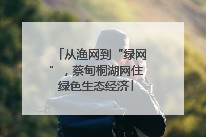 从渔网到“绿网”，蔡甸桐湖网住绿色生态经济