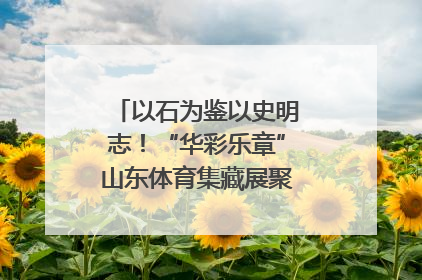 以石为鉴以史明志！“华彩乐章”山东体育集藏展聚焦“岱石丹心”