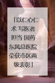 以仁心仁术 写医者担当 国药东风总医院荣获市区两级表彰