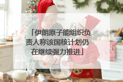 伊朗原子能组织负责人称该国核计划仍在继续强力推进