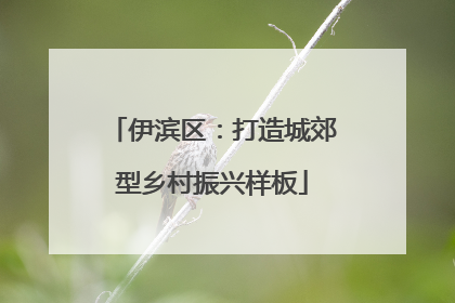伊滨区：打造城郊型乡村振兴样板