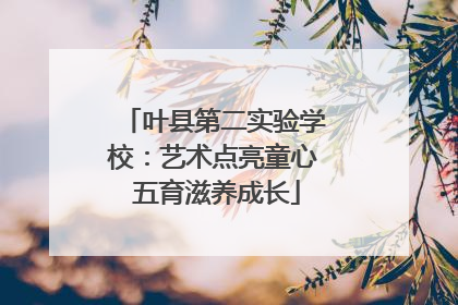 叶县第二实验学校：艺术点亮童心 五育滋养成长